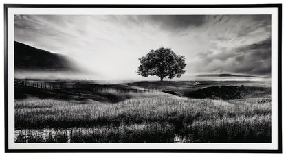 Deborland - Wall Art - Black / White