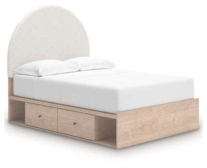 Shapella - Upholstered Panel Storage Bed