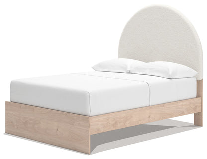 Shapella - Upholstered Panel Storage Bed